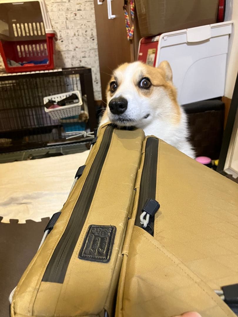 ハンドメイド　上下分割式フレームバッグX-PAC フレーム49