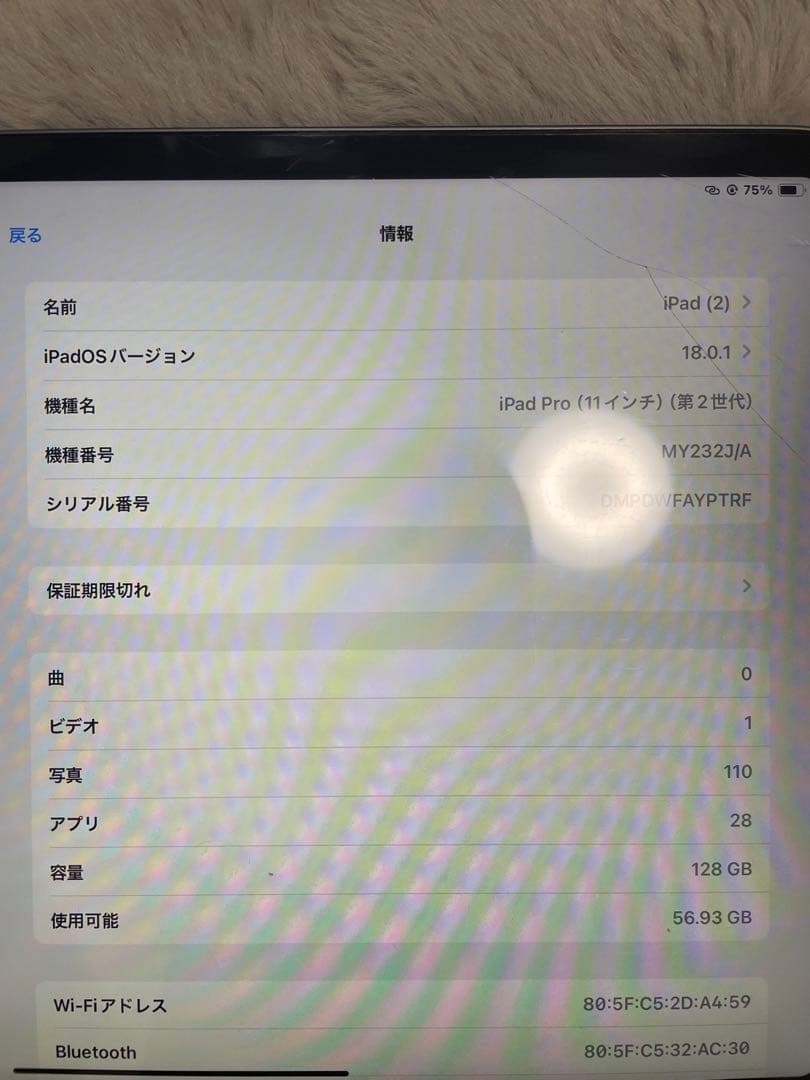 Apple iPad Pro (11インチ) 第2世代