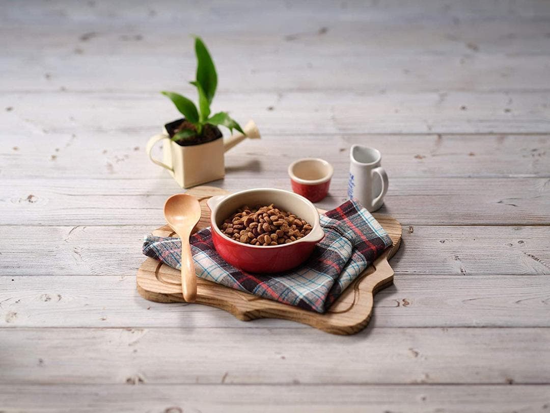 ソルビダ　グレインフリー　チキン　室内飼育成犬用　3.6kg【おまけ付き】