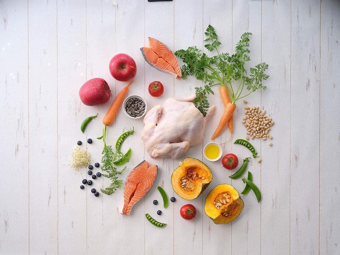 ソルビダ　グレインフリー　チキン　室内飼育成犬用　3.6kg【おまけ付き】