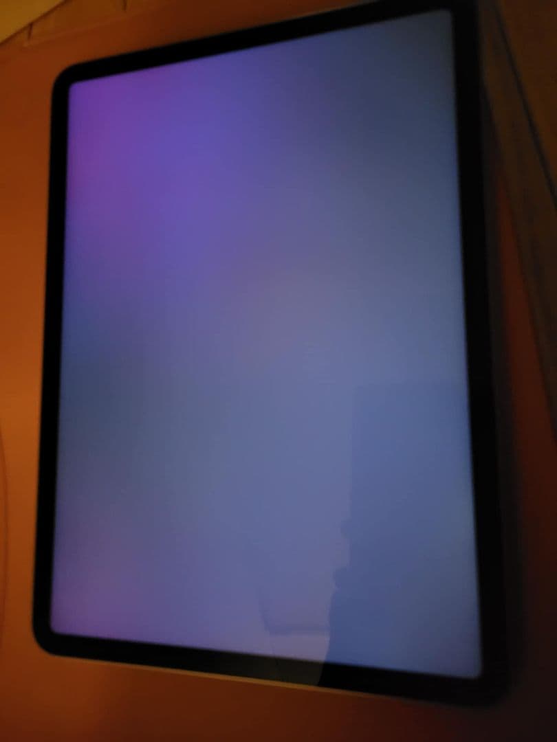 ipad pro 2021 M1 256GB ジャンク