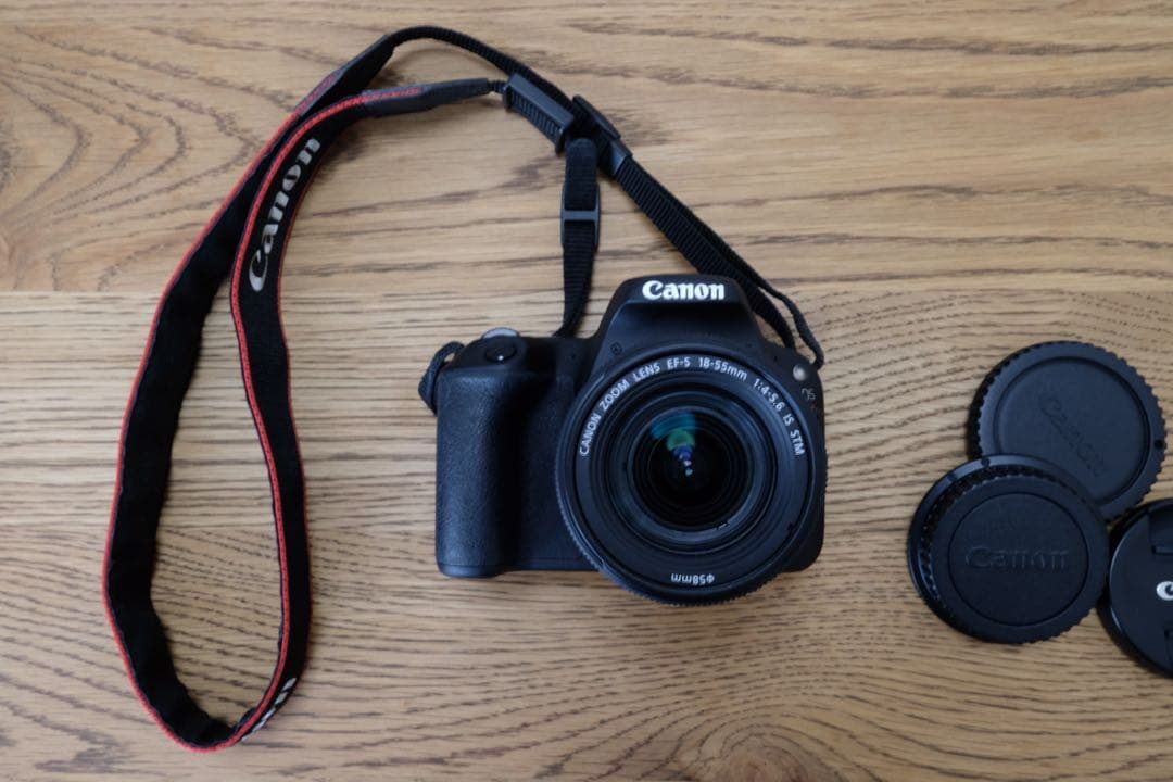 Canon EOS Kiss X9 本体 + レンズセット