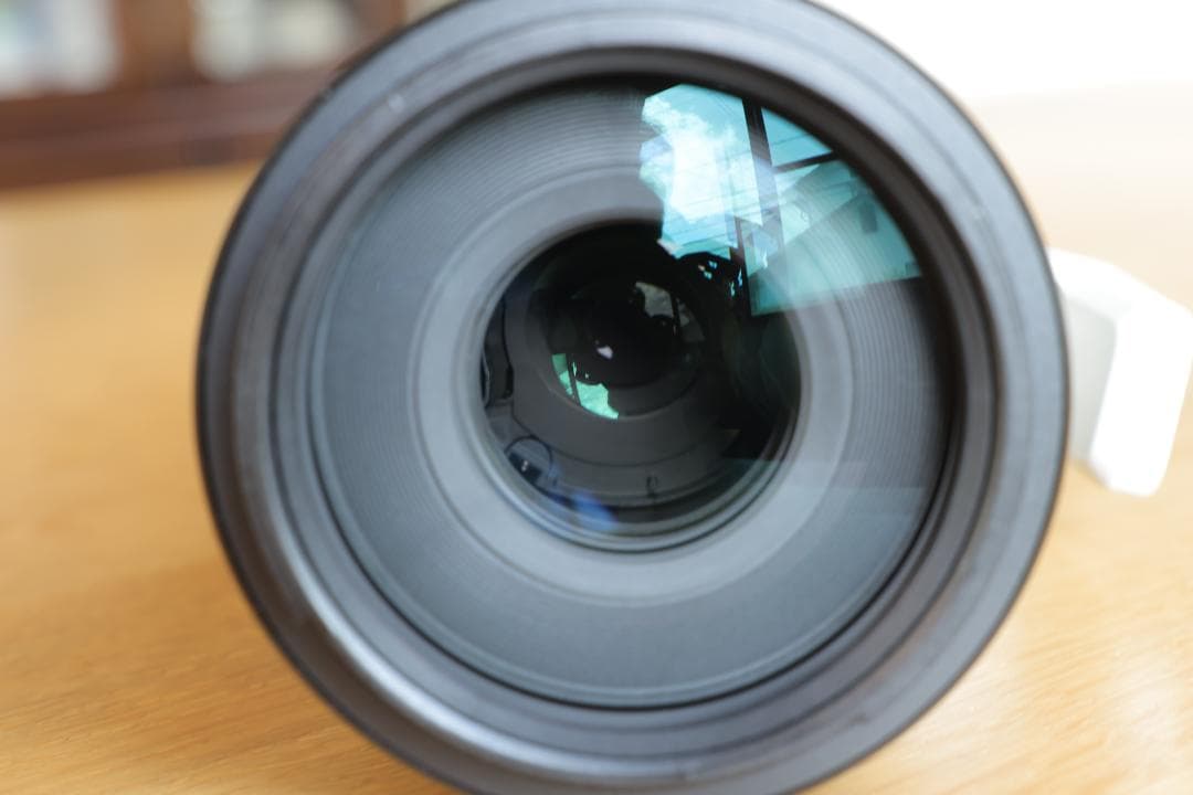 ソニー FE 100-400mm F4.5-5.6 GM OSS