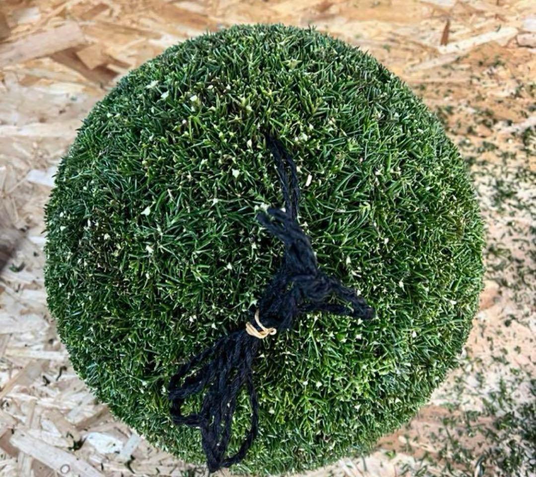 杉玉　約50センチ　ワイヤーで‼️お客様ご注文品　♪