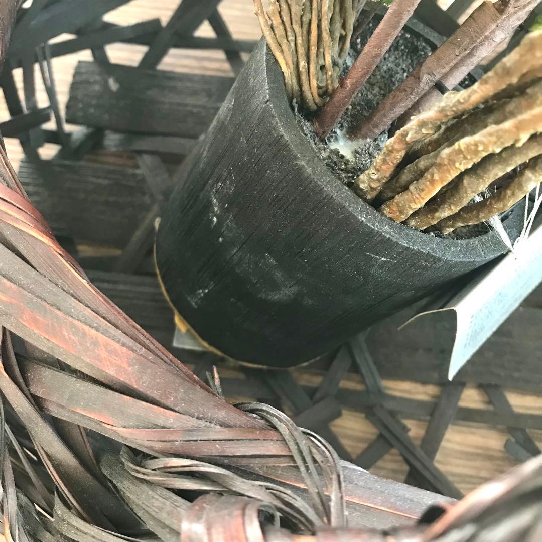 エミリオロバ　ハナミズキ　アートフラワー