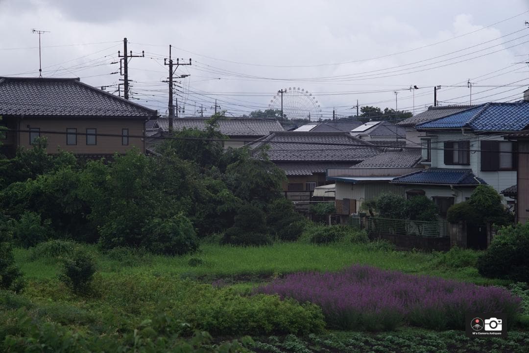 美品Canon 135mm F3.5 III ライカＬ３９レンズ整備済