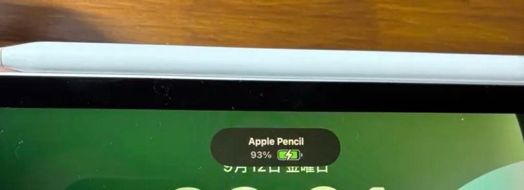 【Apple Pencilとカバー付き】iPadPro 11inch