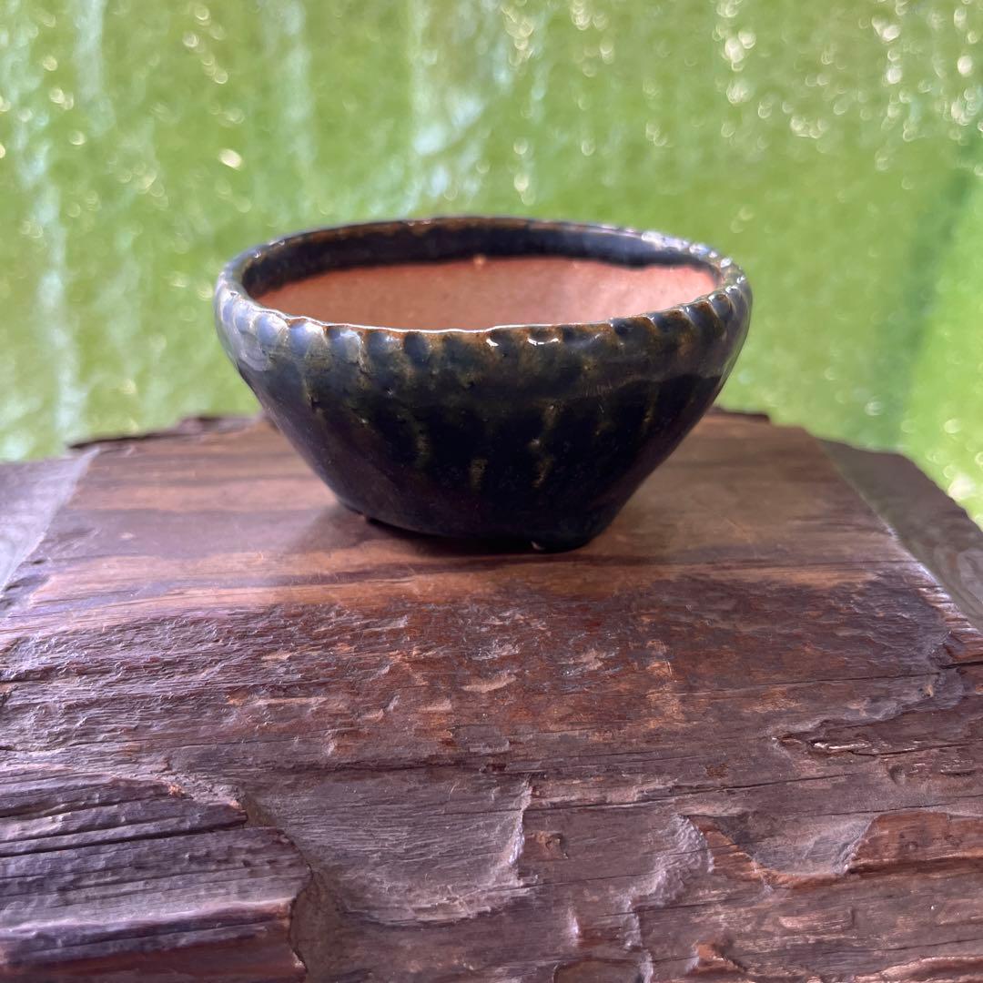 松寿　小品　盆栽鉢　レトロ　5個セット　(A5)