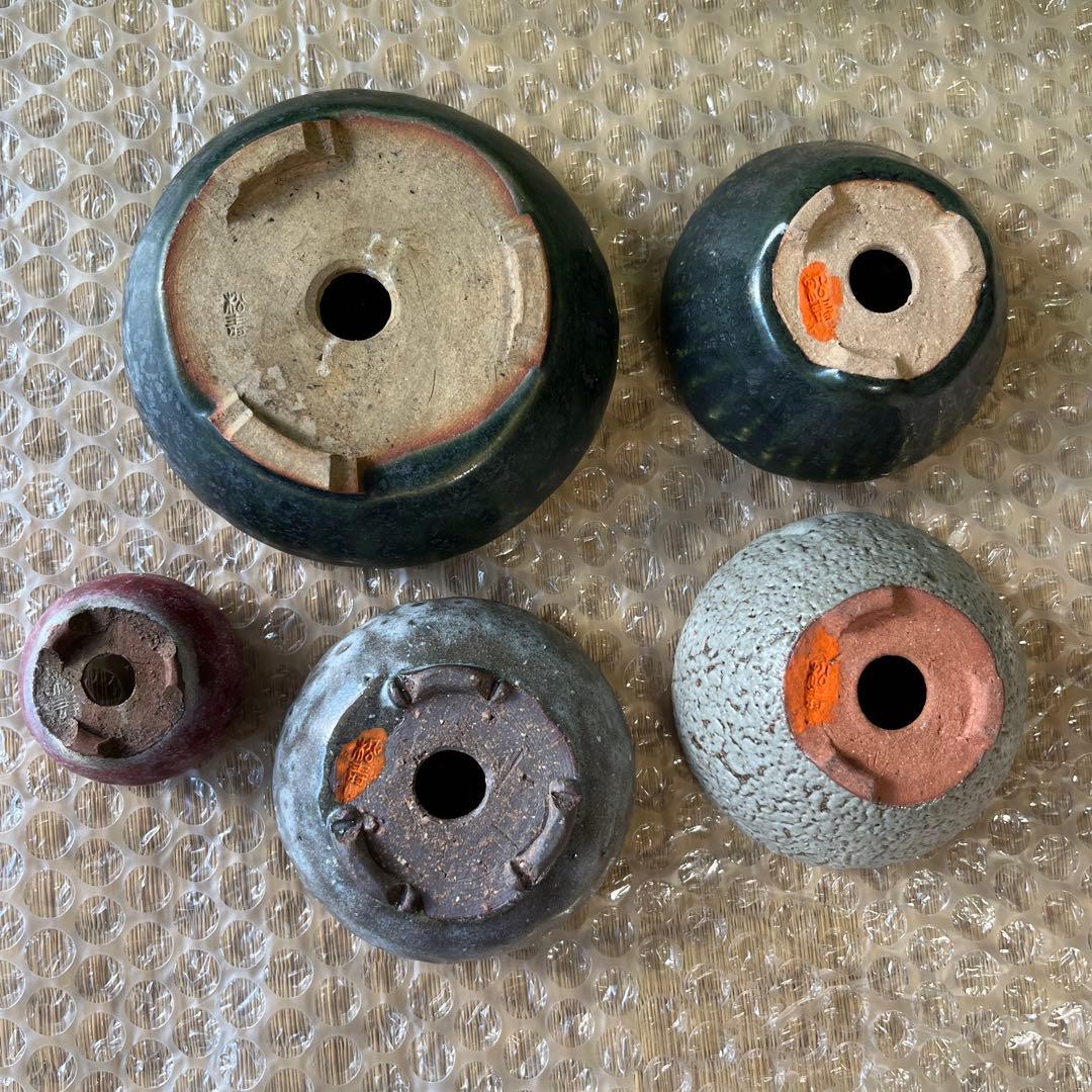 松寿　小品　盆栽鉢　レトロ　5個セット　(A5)