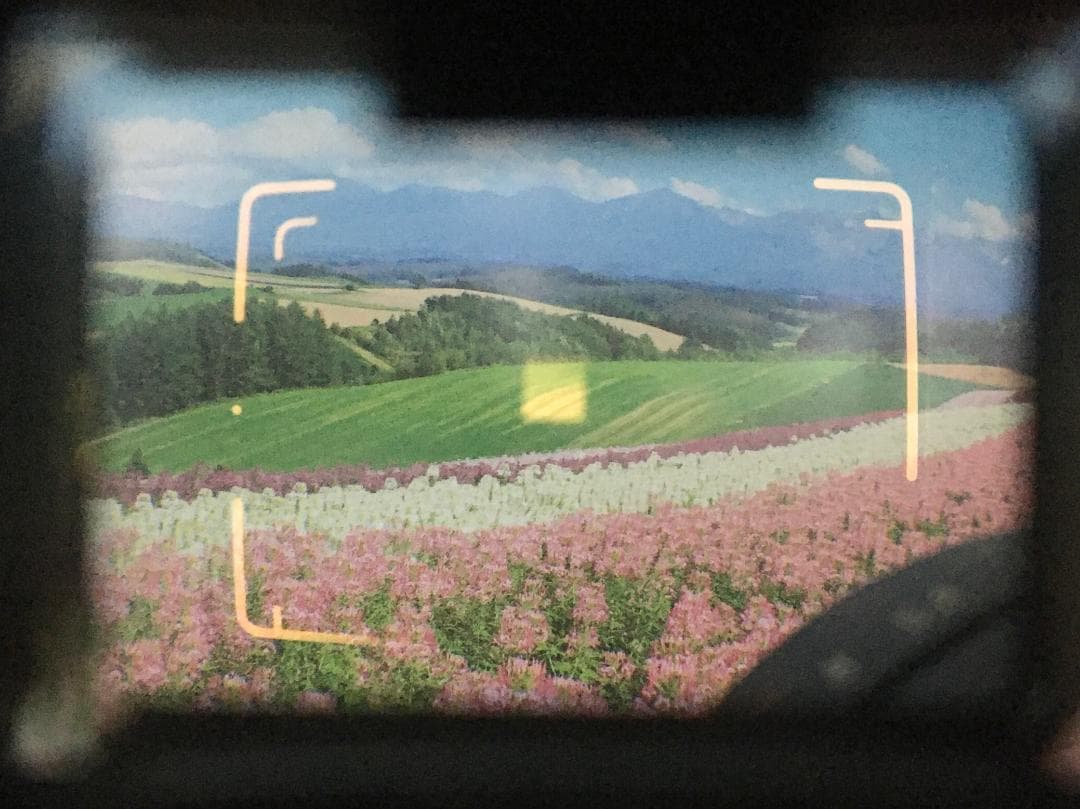 にゃーす　Yashica Electro 35 CCN WIDE露出計OK