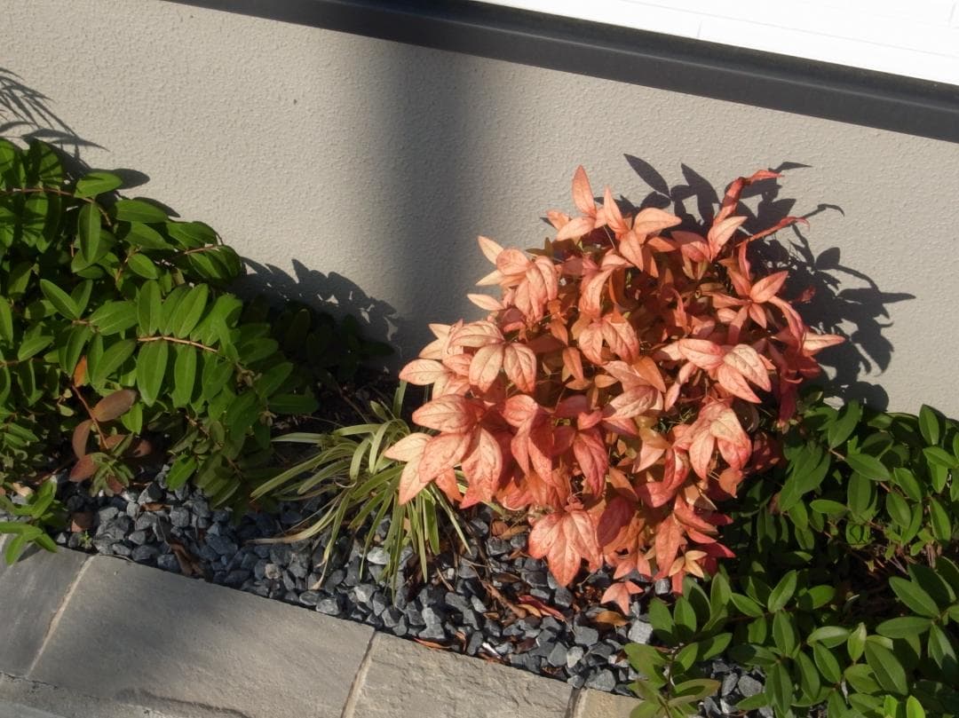 ✨ショット数1778回✨スマホ転送キット✨GR DIGITAL III　542