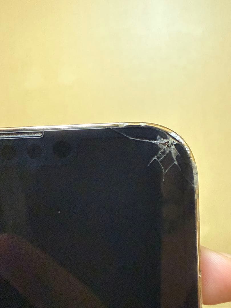 スマートフォン本体 Apple iPhone 13 Pro Max 256GB