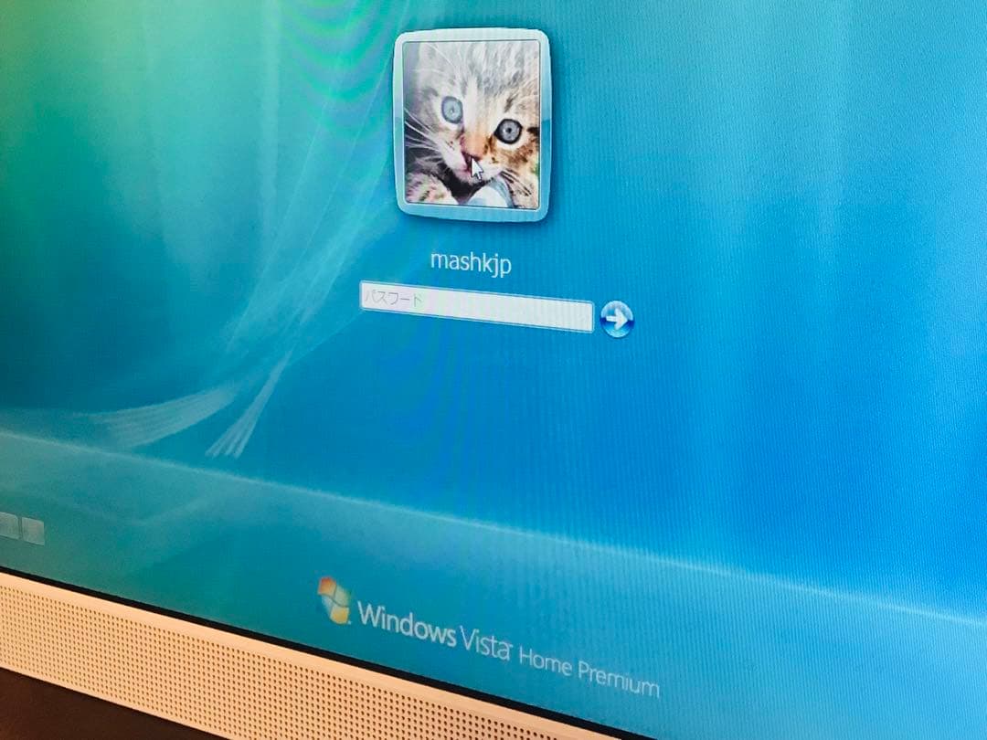 SONY VAIO VGC-LM51B PCG-2A6N 特典テレビ電話つき