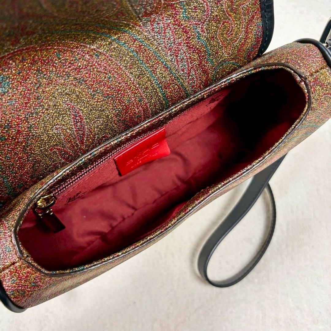 【未使用級✨】エトロ ショルダー　タッセル ペイズリー柄 レザー PVC ミニ