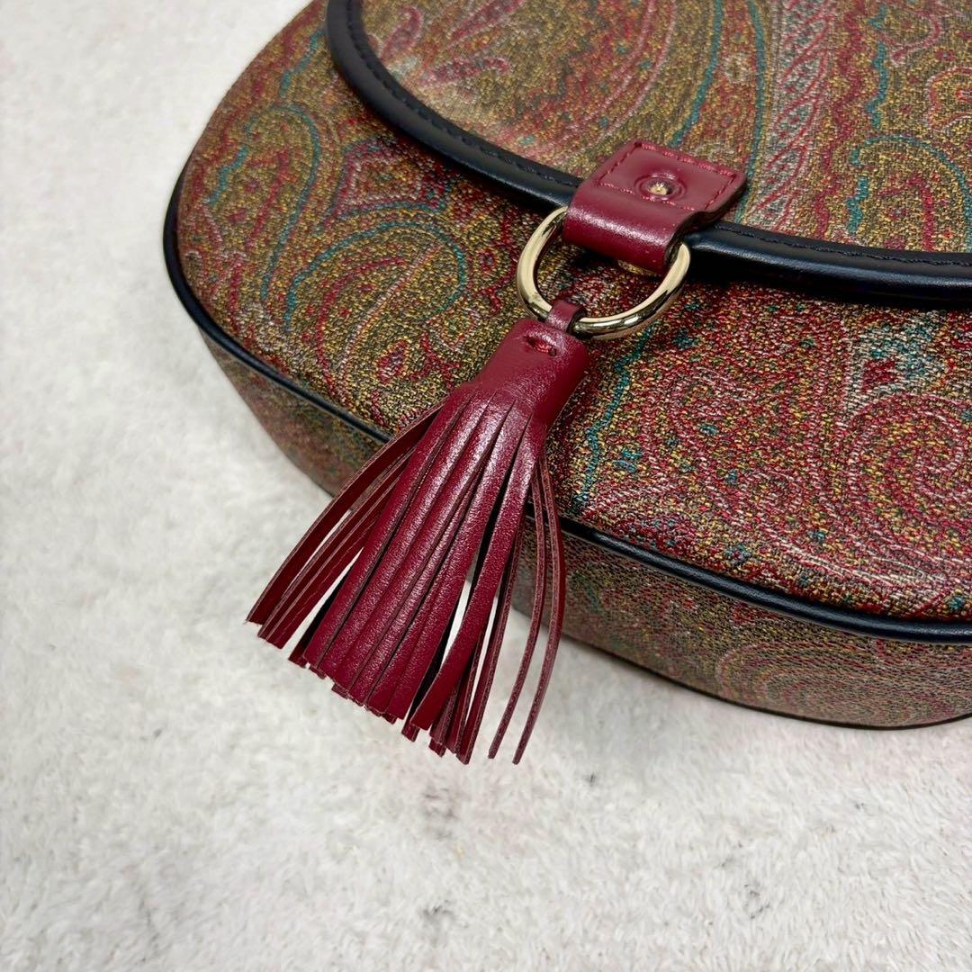 【未使用級✨】エトロ ショルダー　タッセル ペイズリー柄 レザー PVC ミニ