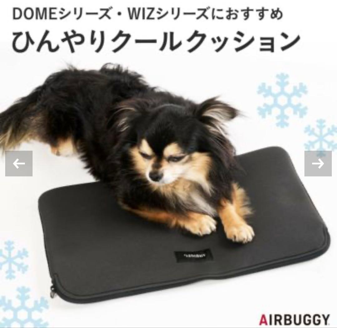 AIRBUGGY DOME3 レギュラーサイズ ➕【別売付属品付】