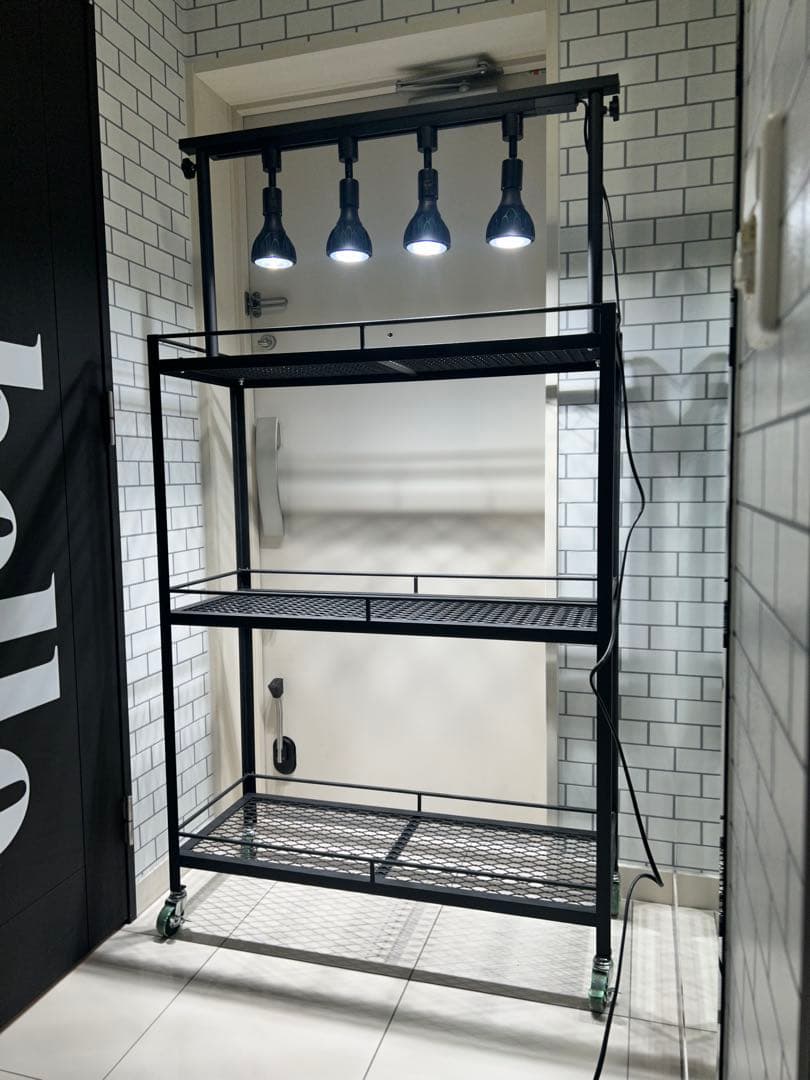 植物棚　アイアン棚　伸縮ライトレール　パキプス　アイアンシェルフ　アガベ