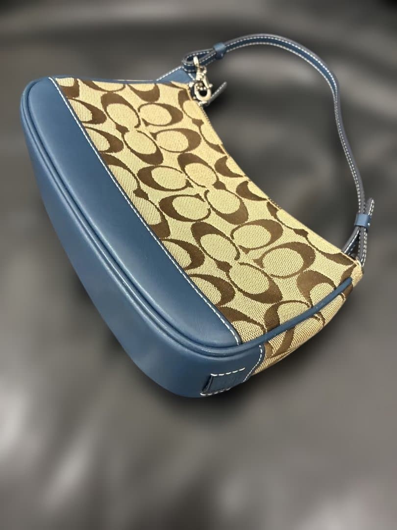 【希少カラー】coach ショルダーバッグ アクセサリーポーチ 青 ブルー