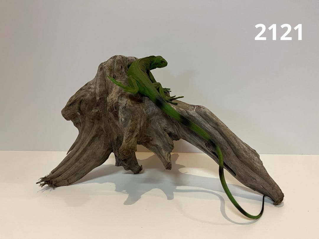 ふぇぇ様 リクエスト 3点 まとめ商品