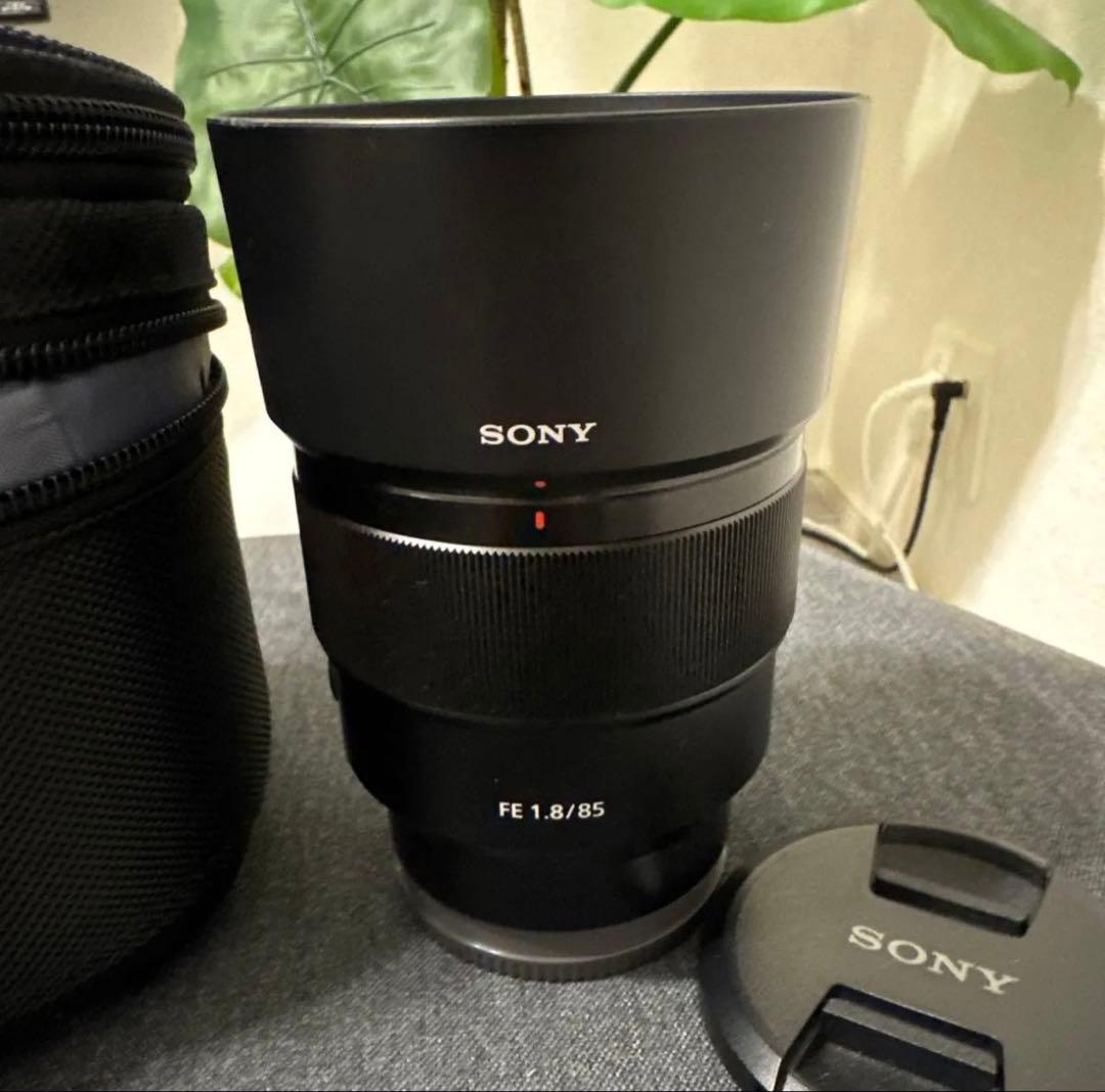 隠れGレンズ！SONY 単焦点レンズ 85mm F1.8
