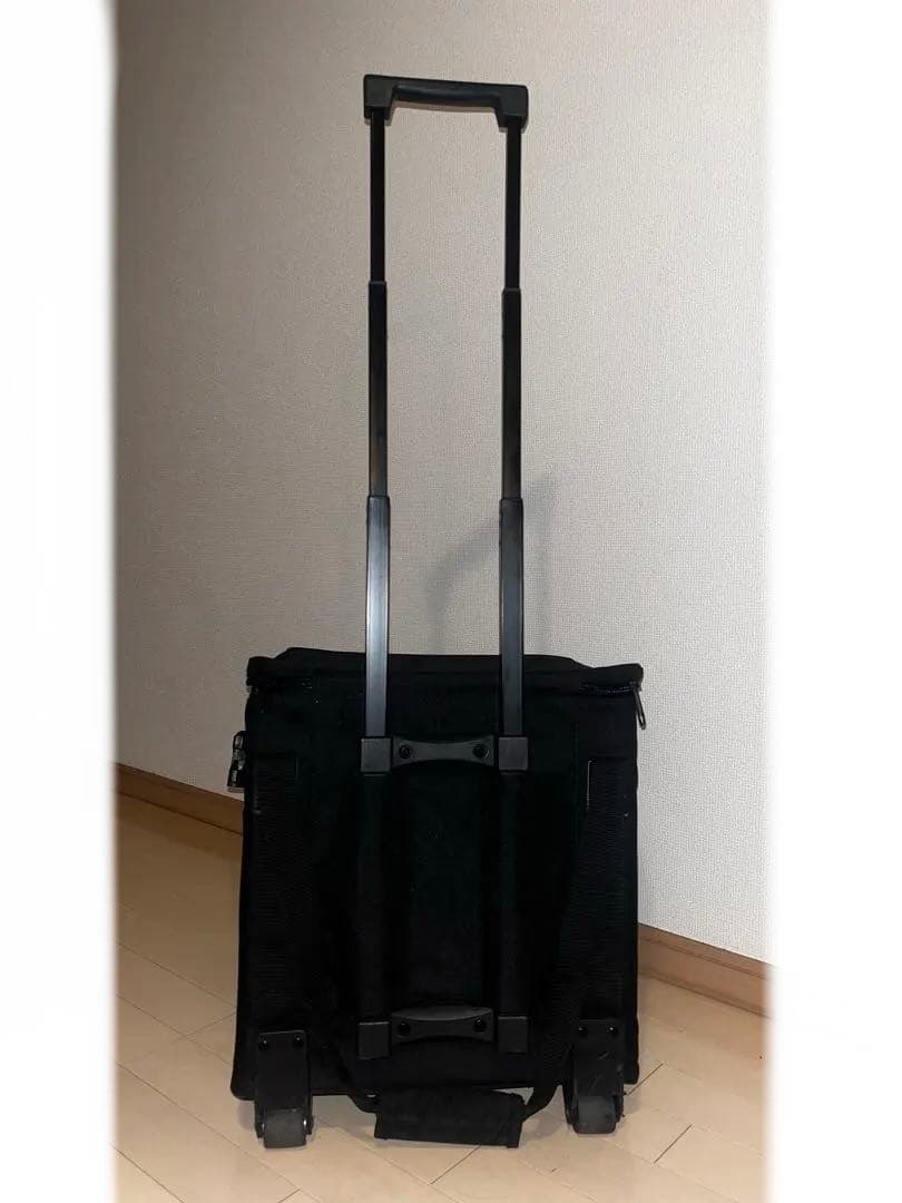 PLAYTECH レコードバック キャリータイプ