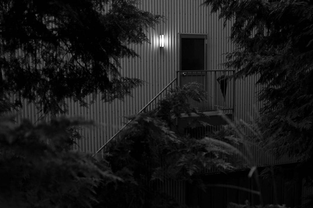 【良品】SIGMA DP2s（Foveonセンサー搭載コンデジ）作例あり