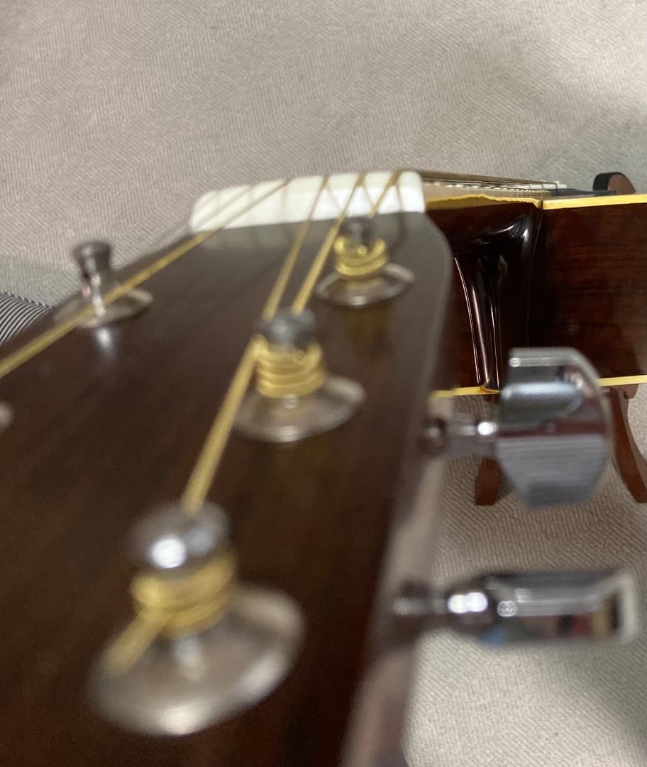 Morris モーリス W-20 アコースティックギター