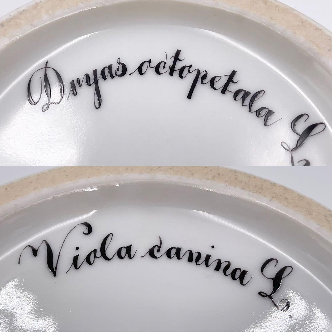 スフィンクス様 【希少品】フローラダニカ ワインクーラー ロイヤルコペンハーゲン