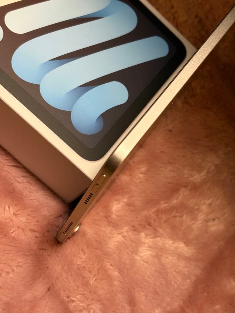 バッテリー容量100% iPad mini (第六世代) 64GB 即日発送