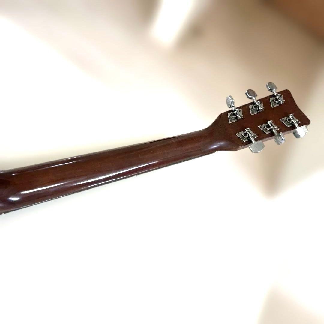 ギター anthony viernes Dedicated