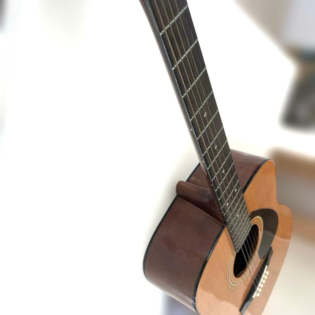 ギター anthony viernes Dedicated