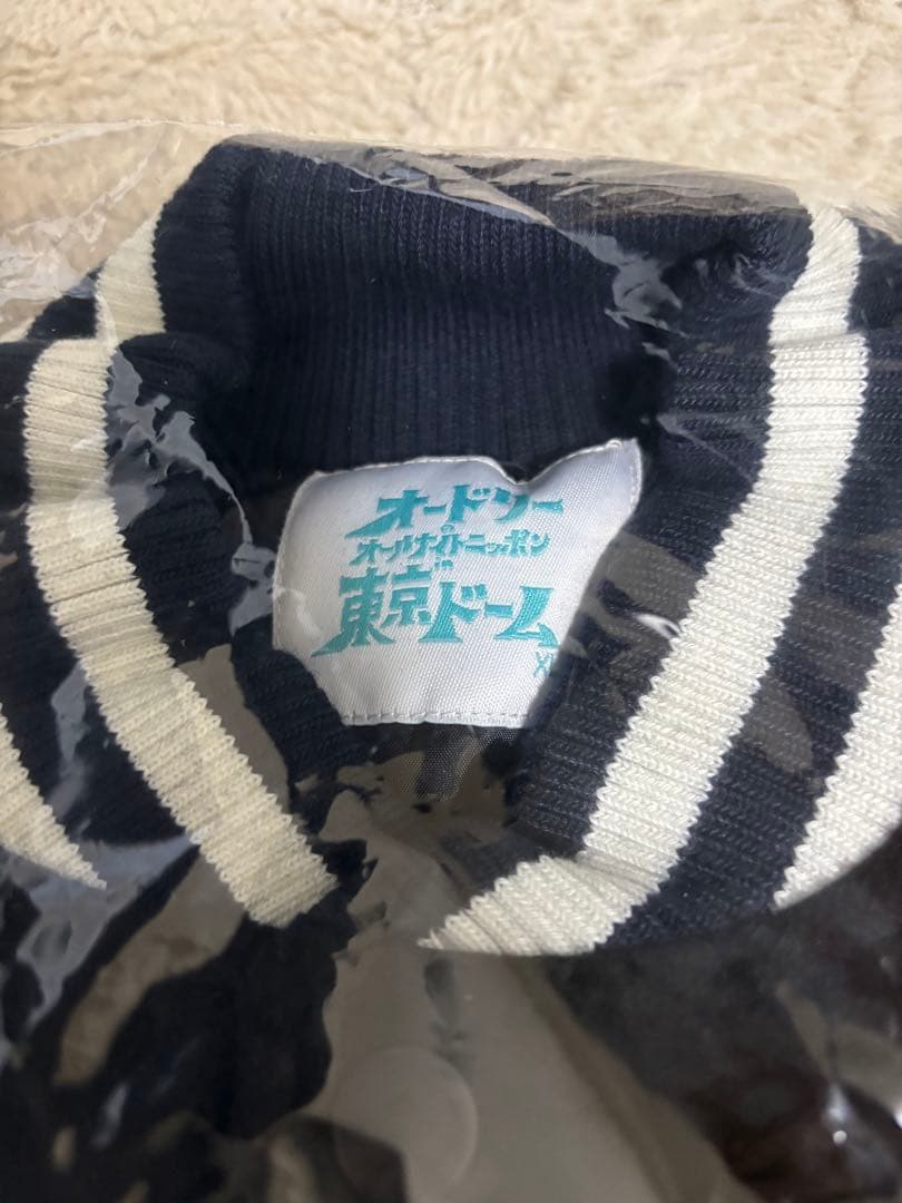 オードリー　オールナイトニッポン　スタジャン