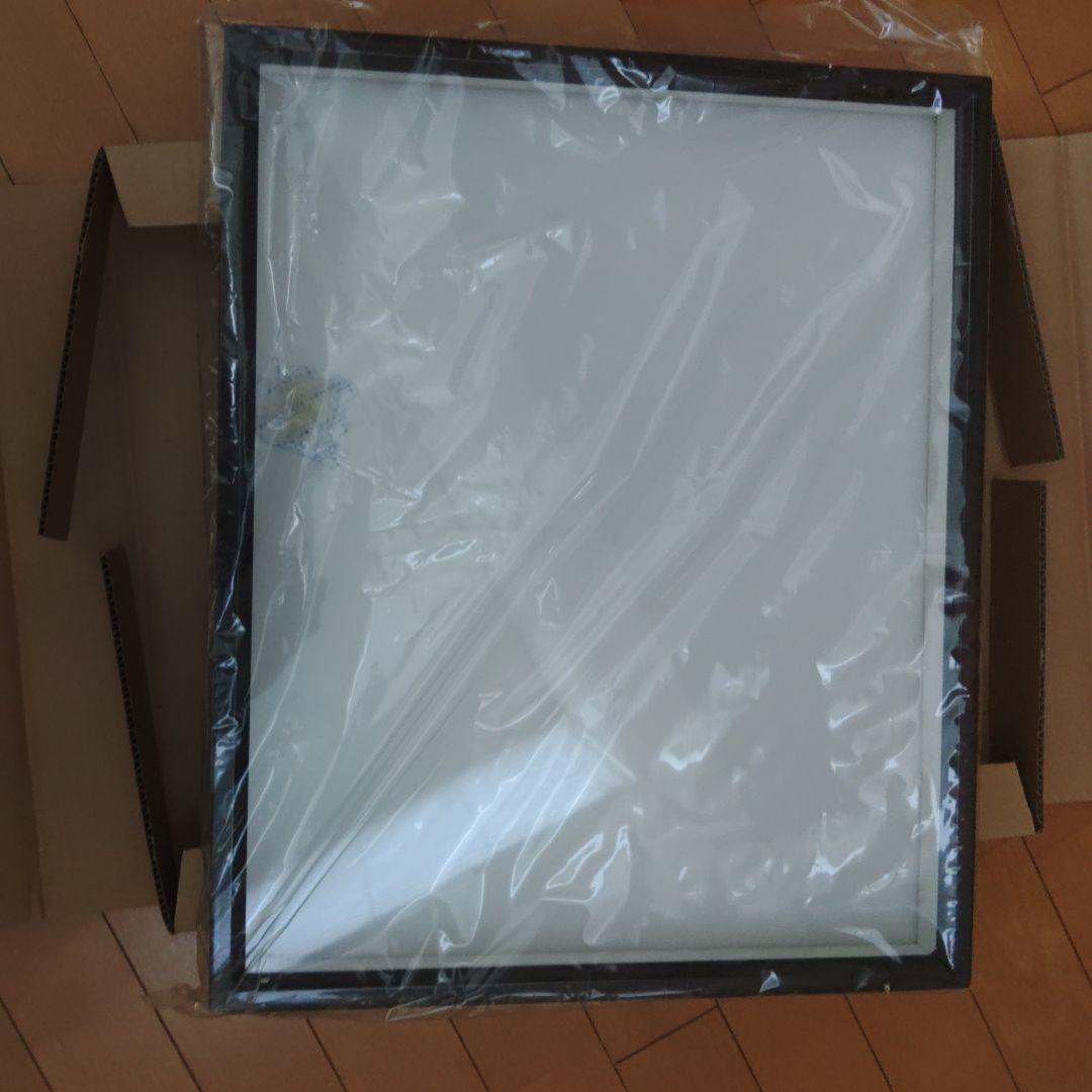 志賀昆虫ドイツ箱