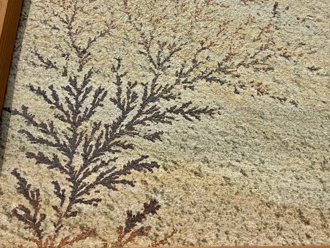 A*s様 美しいデンドライト（dendrite、樹枝状晶）、忍石　アート作品