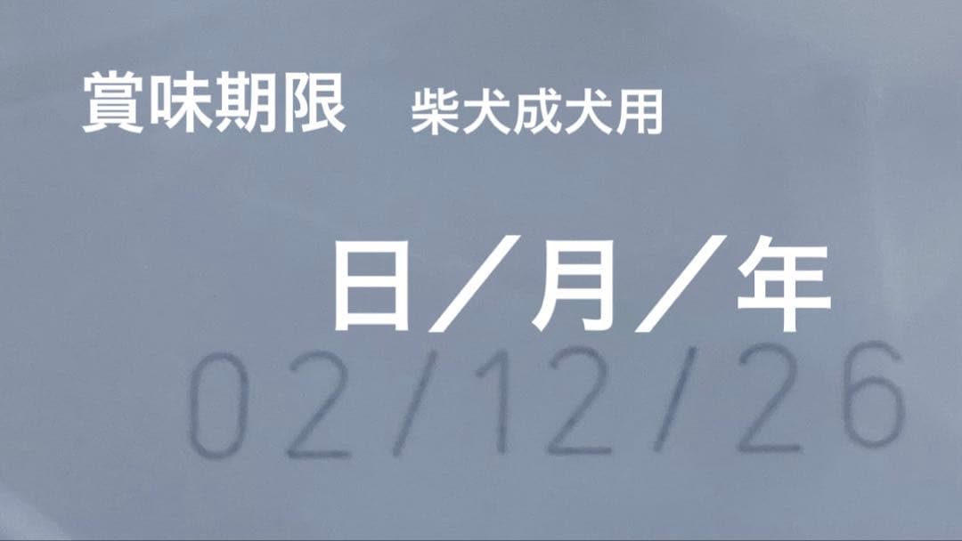 ロイヤルカナン　柴犬　成犬用　8kg