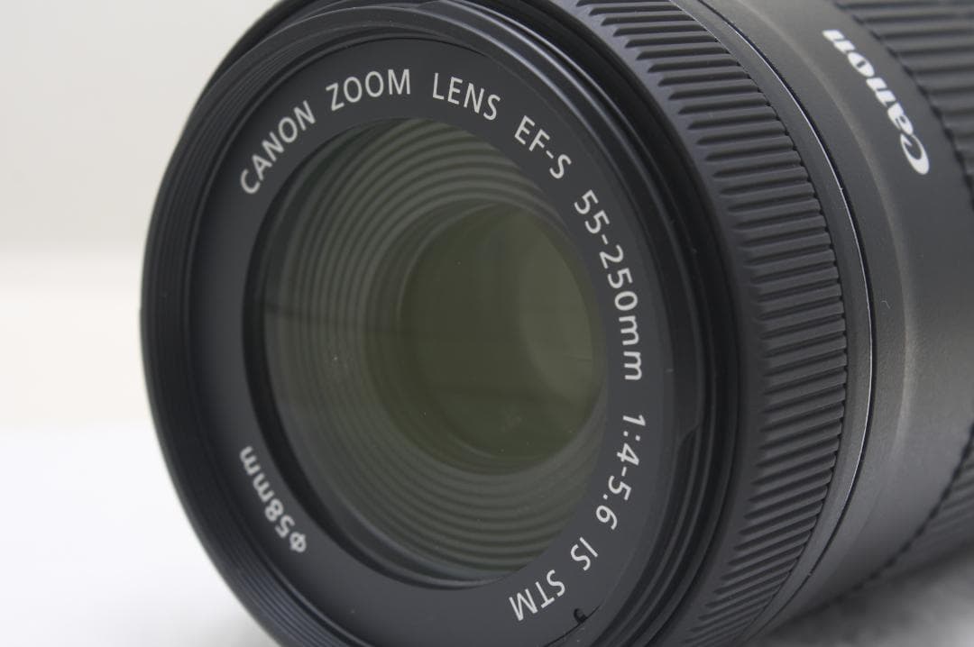 キヤノン EF-S 55-250mm F4-5.6 IS STM 8802