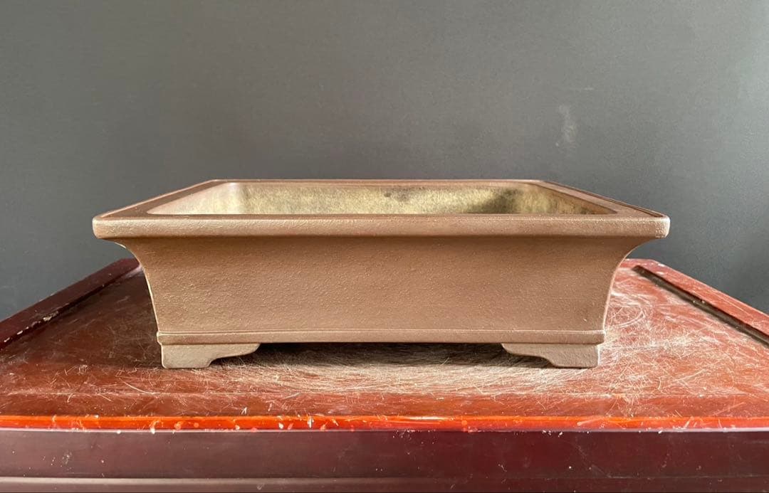 白木盆栽園　山秋　松泉　盆栽鉢　横35センチ　鉢和鉢盆栽趣味陶器盆器植木鉢