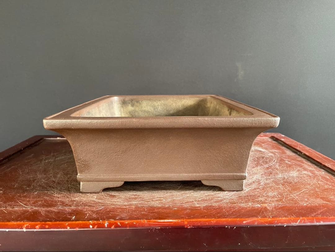 白木盆栽園　山秋　松泉　盆栽鉢　横35センチ　鉢和鉢盆栽趣味陶器盆器植木鉢