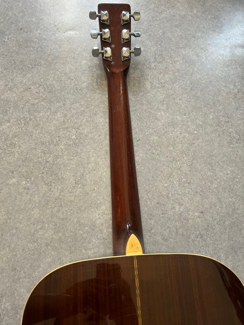 Morris　ギター　本体のみ W-25