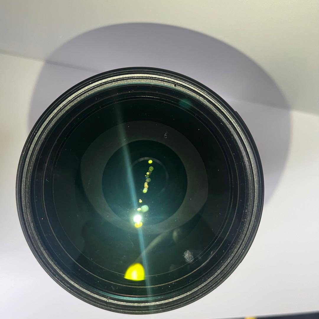 ニコン純正 NIKKOR 200-500mm f/5.6E