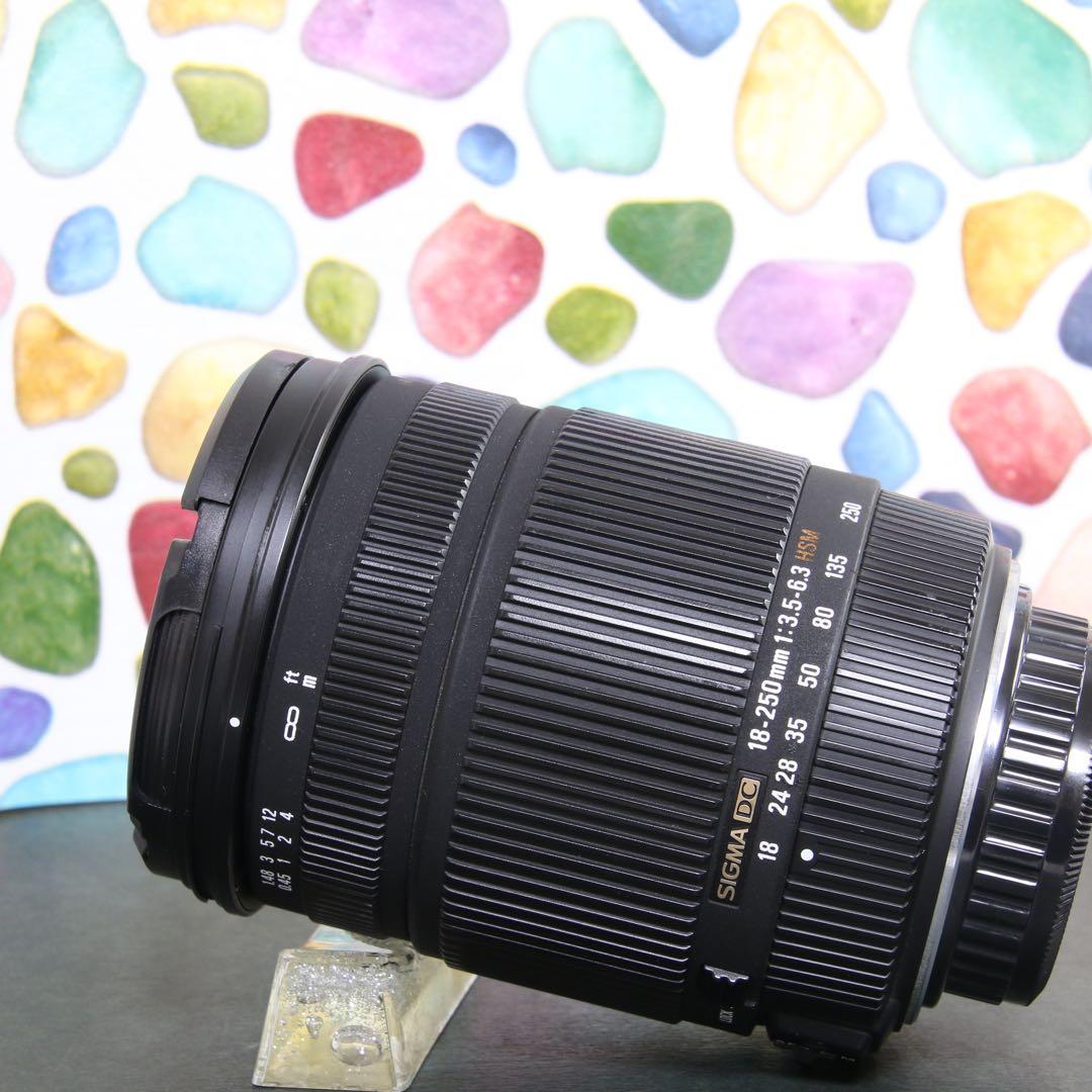 ♥︎◇近くから遠くまでこれ一本♪ SIGMA 18-250mm OS PENTAX