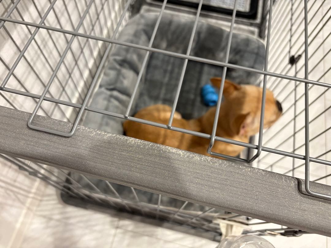 【屋根付】【値下げしました】ドッグルームサークル Plus グレー