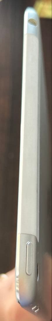 iPad mini 第4世代　A1550 16G