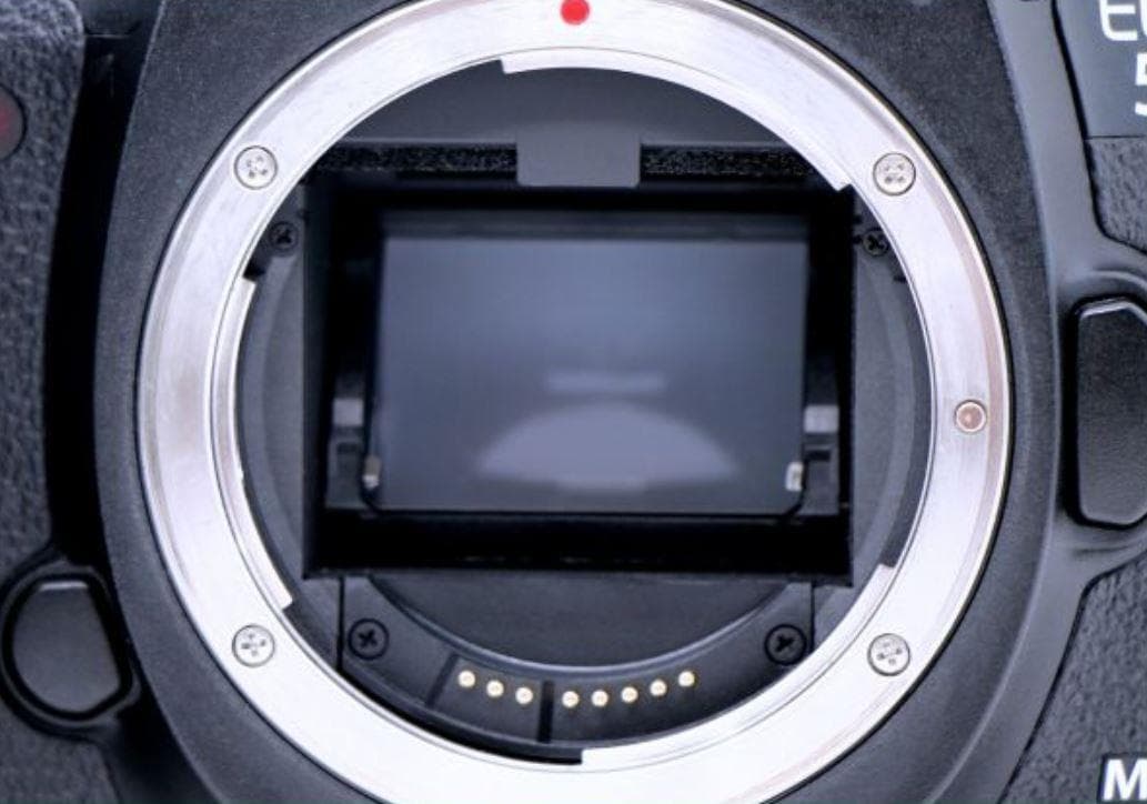 Canon EOS 5D MarkⅢ キャノン デジカメ 一眼レフ カメラ