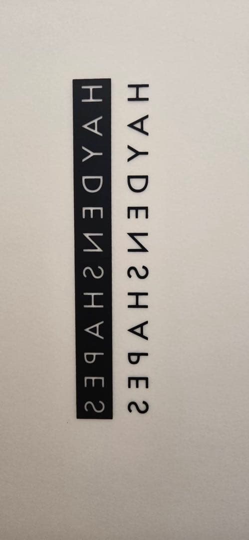 HAYDENSHAPES ヘイデンシェイプス ヒプトクリプト ツイン フィッシュ