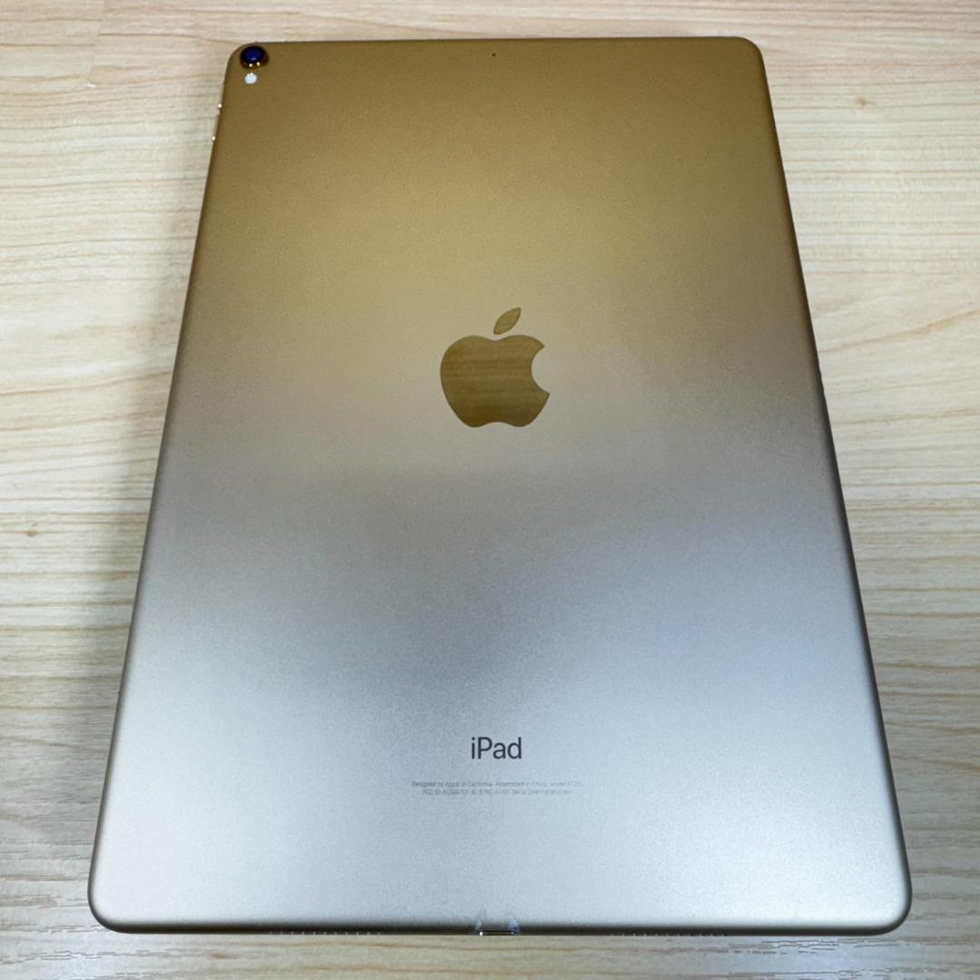 P265 iPad Pro 10.5インチ 64GB おまけ付き
