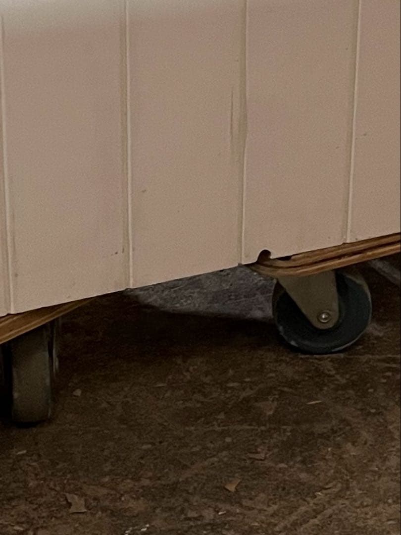 猫ちゃん　割れあり　節抜けあり　現品処分