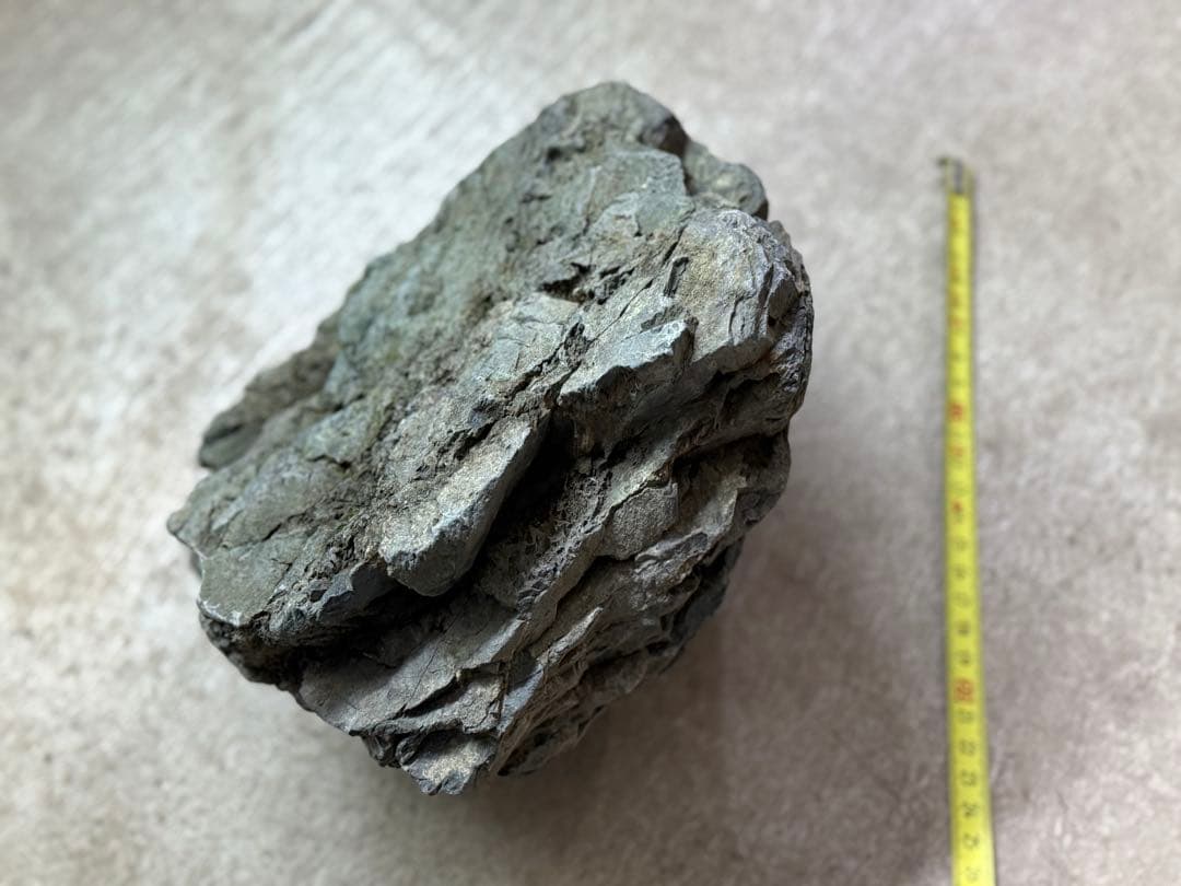 ADA 万天石 大一個