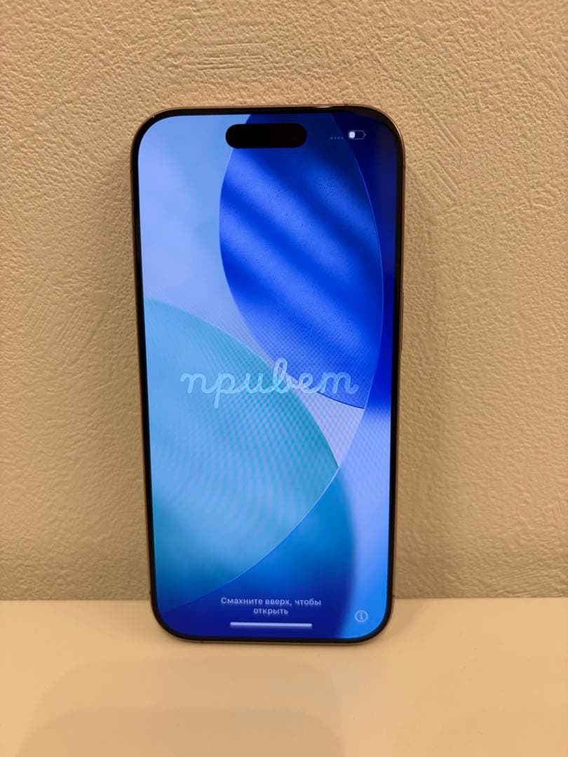 【美品】iPhone16Pro 256GB デザートチタニウム