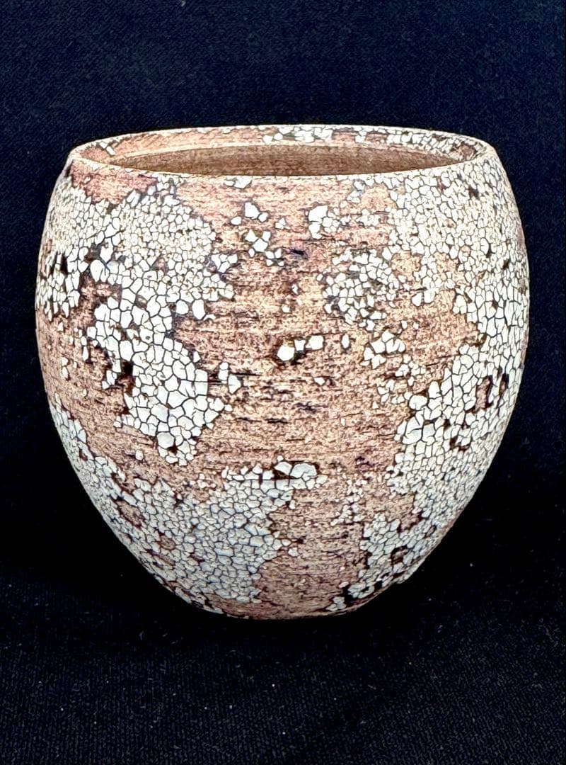 konect mad web mushi -kui 01S 鉢